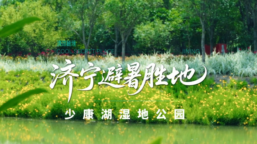 果然视频|济宁避暑好去处：少康湖湿地公园