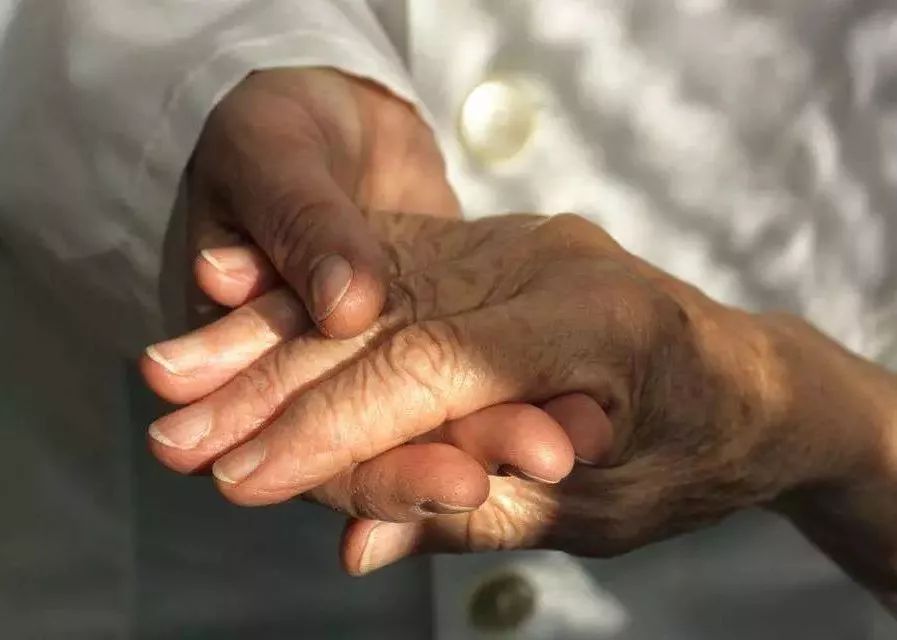 父亲节|再握父亲的手