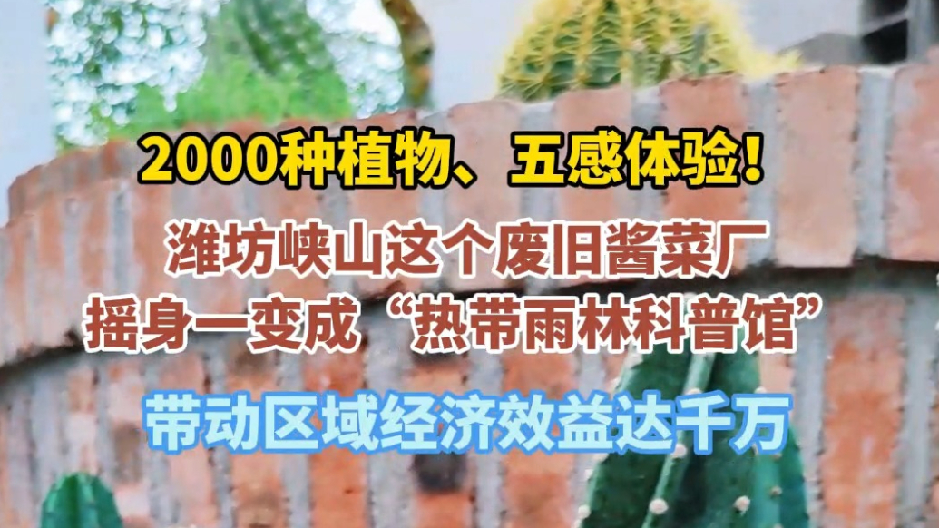 果然视频|潍坊峡山这个废旧厂房“变身”成热带雨林生态科普馆