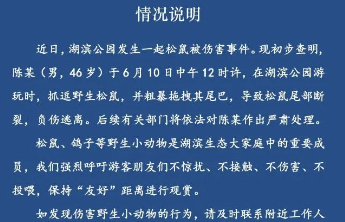 西湖边松鼠被伤害，为何引起众怒