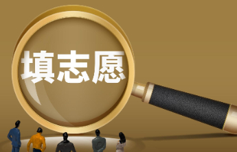 高考志愿填报靠AI，人生正在被“代码化”？