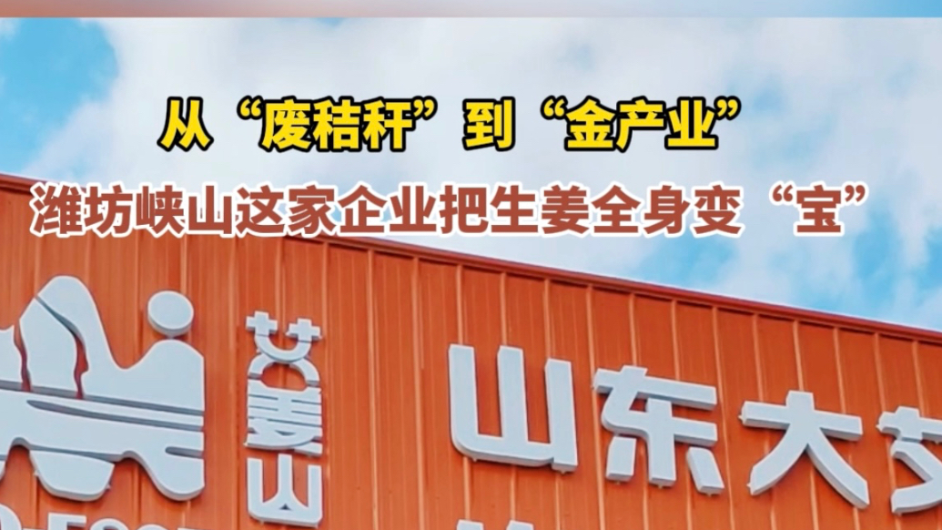 果然视频|潍坊峡山这家企业把生姜全身变“宝”