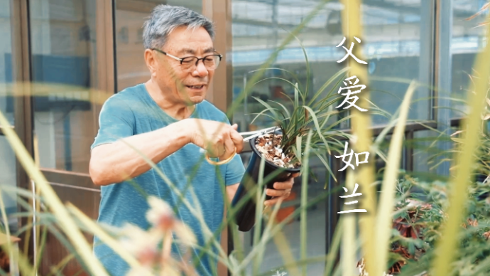 父亲节微电影——父爱如兰