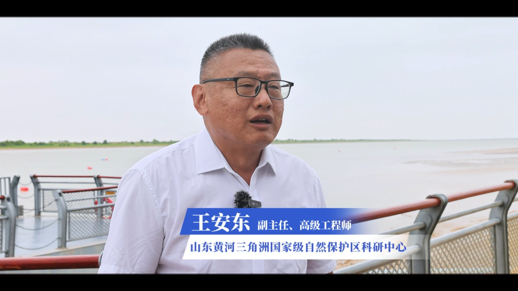 专家委员会成立 助力黄河口候鸟栖息地走向世界