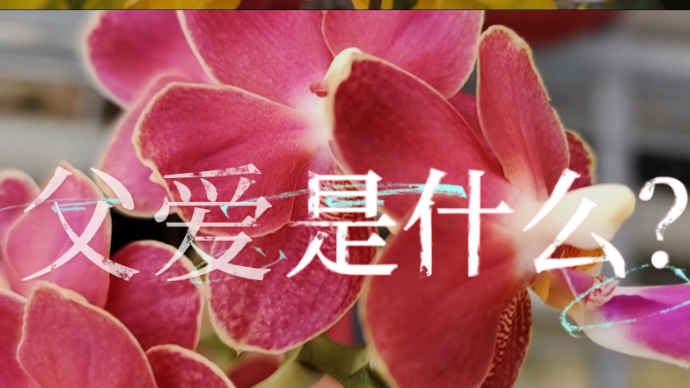 父爱是什么？