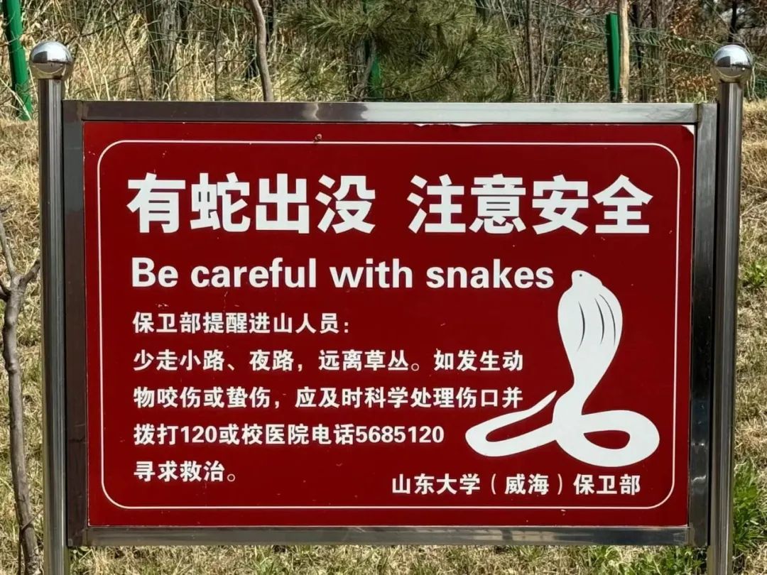 旅游安全亟待补漏