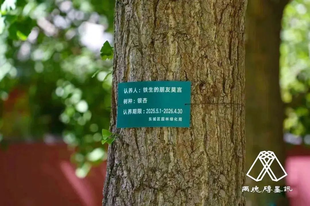 文学之外的鲜活人味儿，让我们特别关注“铁生朋友之树”