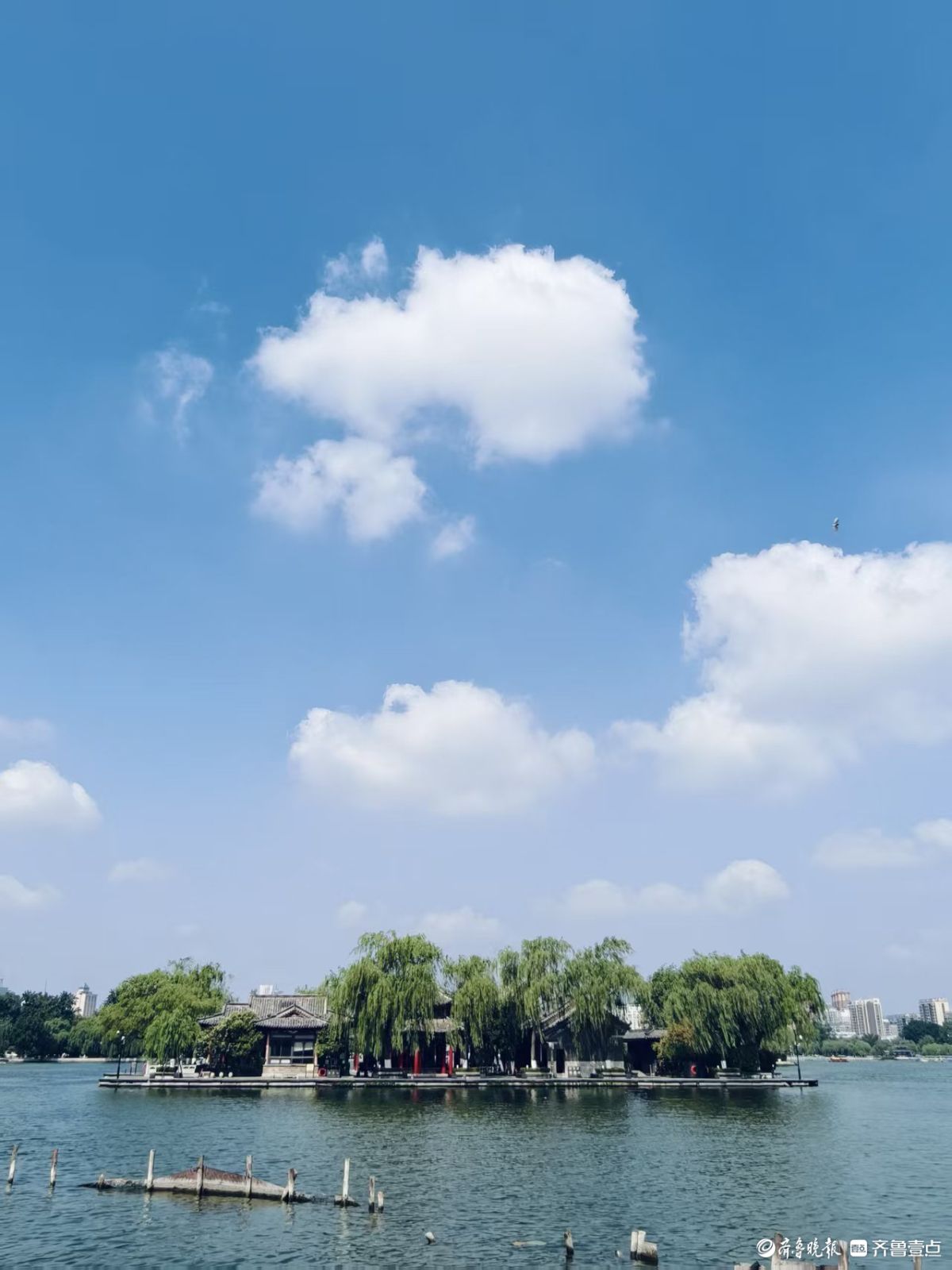 初夏的明湖美景，碧水蓝天