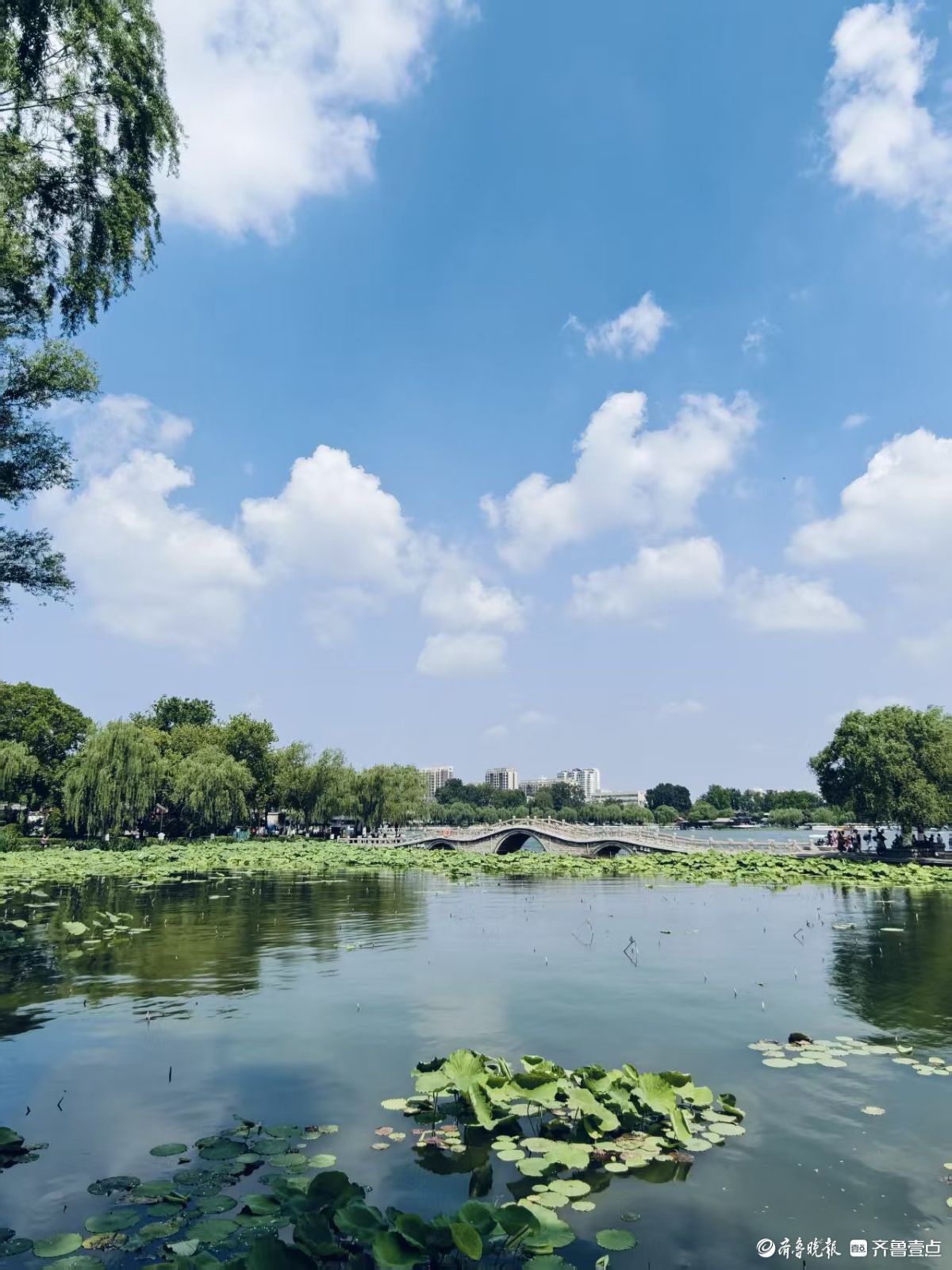 初夏的明湖美景，碧水蓝天