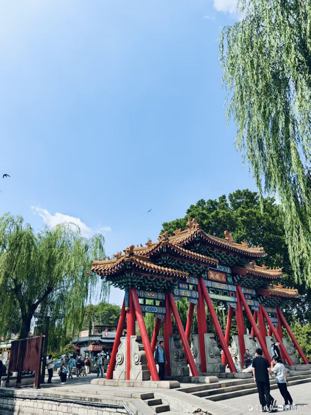 初夏的明湖美景，碧水蓝天