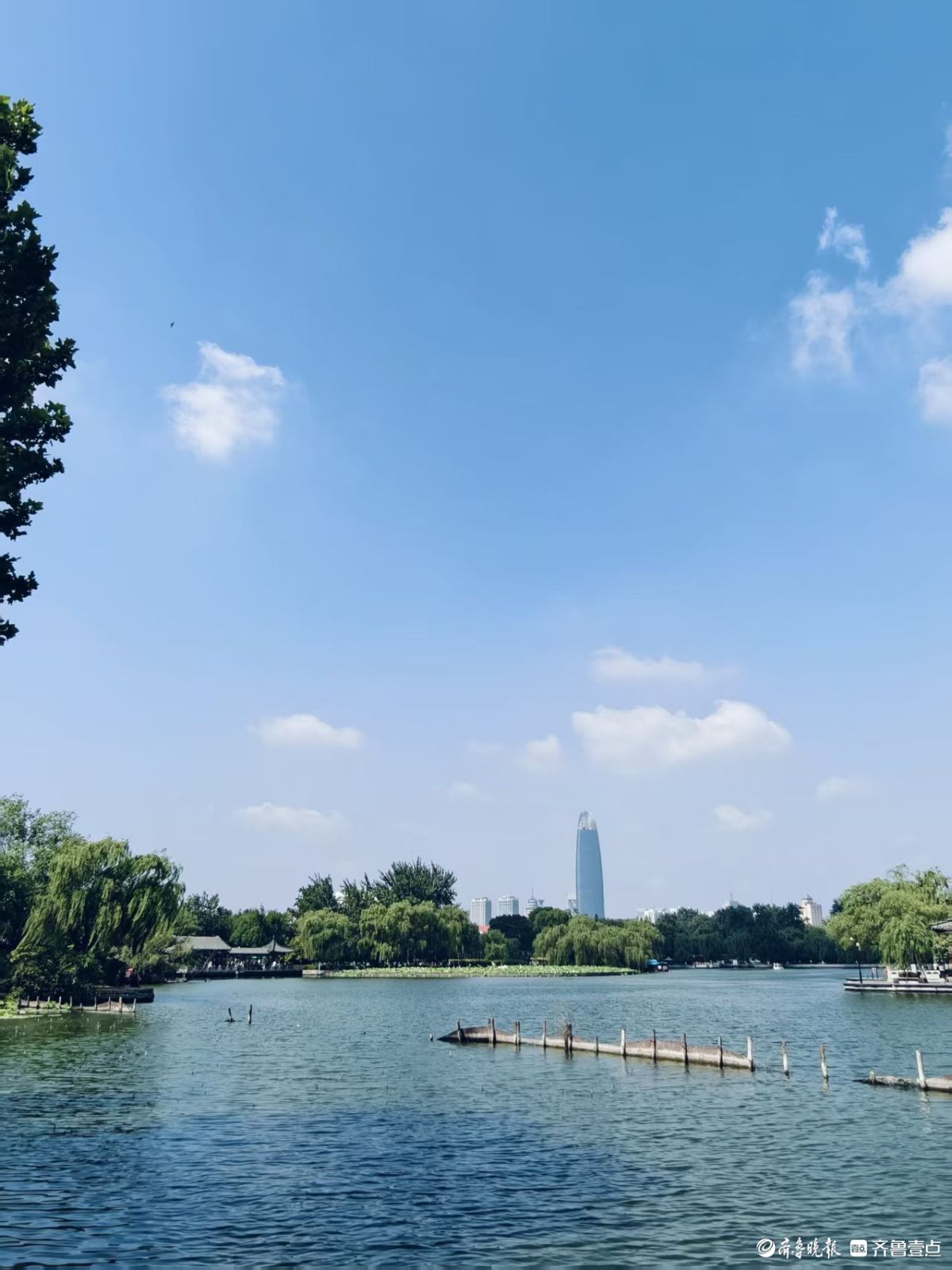初夏的明湖美景，碧水蓝天