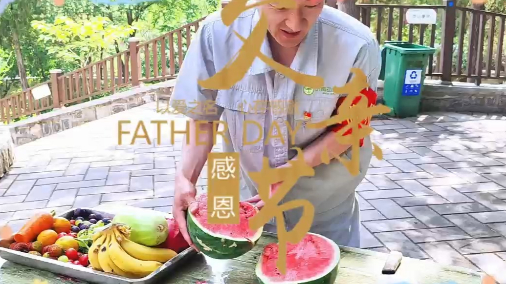 果然视频|动物视界（420）父亲节，黑帽悬猴一家过节啦