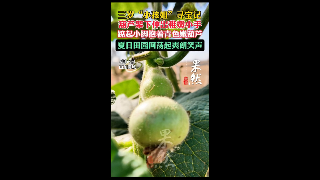 三岁“小孩姐”寻宝记：夏日田园回荡起爽朗笑声