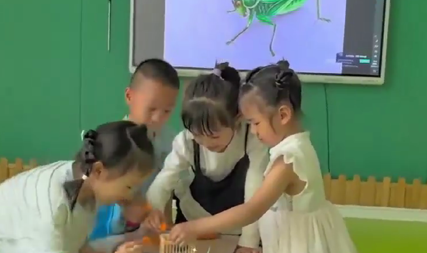 利津县陈庄镇中心幼儿园开启自然探索课程