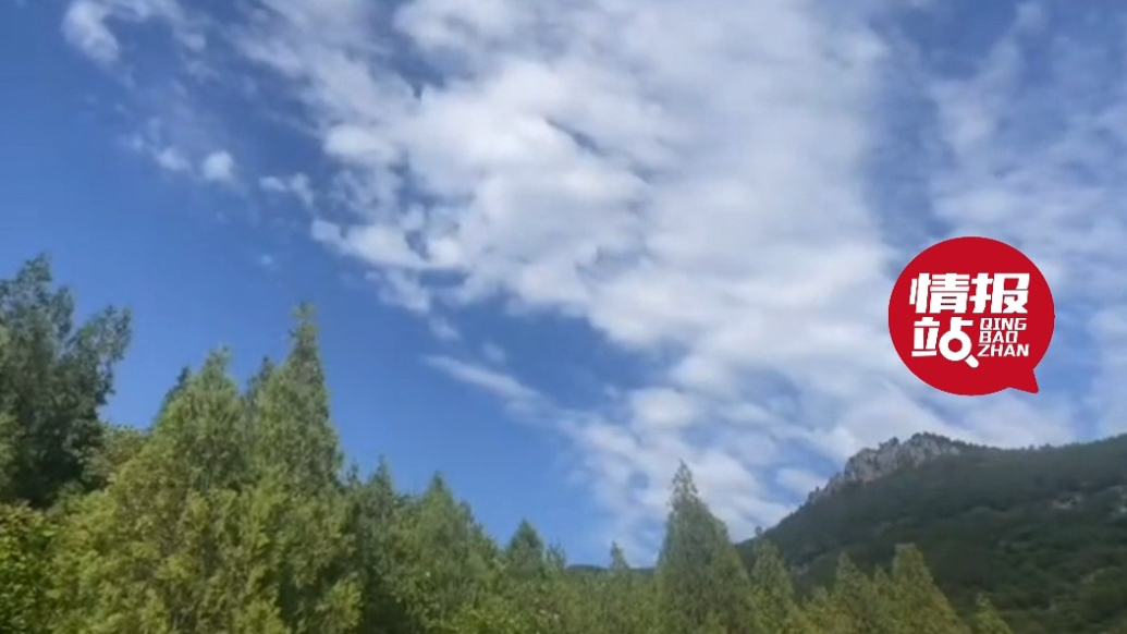天气情报站|白云悠悠！济南蓝天白云再度上线，蔚蓝如诗美如画卷