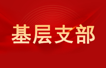 济南市天桥区桑梓小学党支部开展“规范网络行为 争做护网先锋”主题党日活动