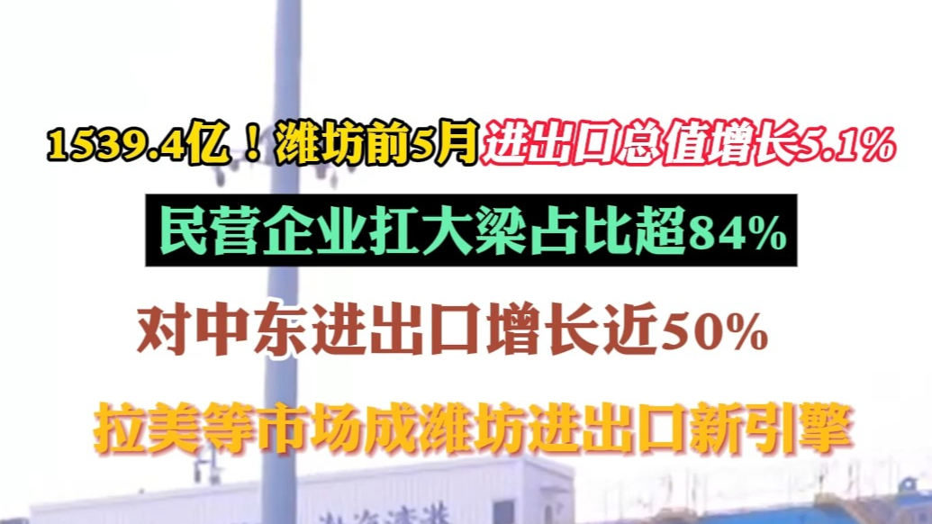 果然视频|潍坊前5月进出口总值1539.4亿元，民企占超八成