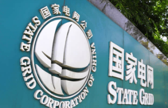 国网新泰市供电公司：政企联动开展安全生产月宣传咨询日活动