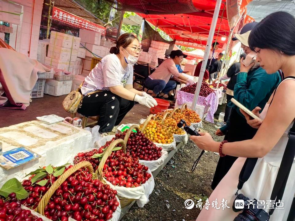 专题|跟着樱桃去旅行，邀你在烟台开启甜蜜之旅