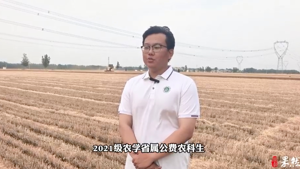 果然视频｜山农大把毕业生答辩现场“搬”到丰收一线