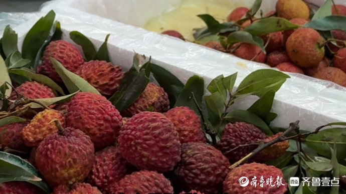 果然视频｜荔枝价格“大跳水”，济南市民直呼实现荔枝自由