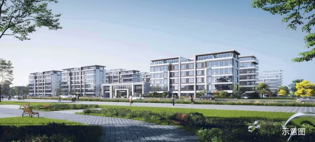日照发布房地产新政，三类购房补贴为市场注入新活力