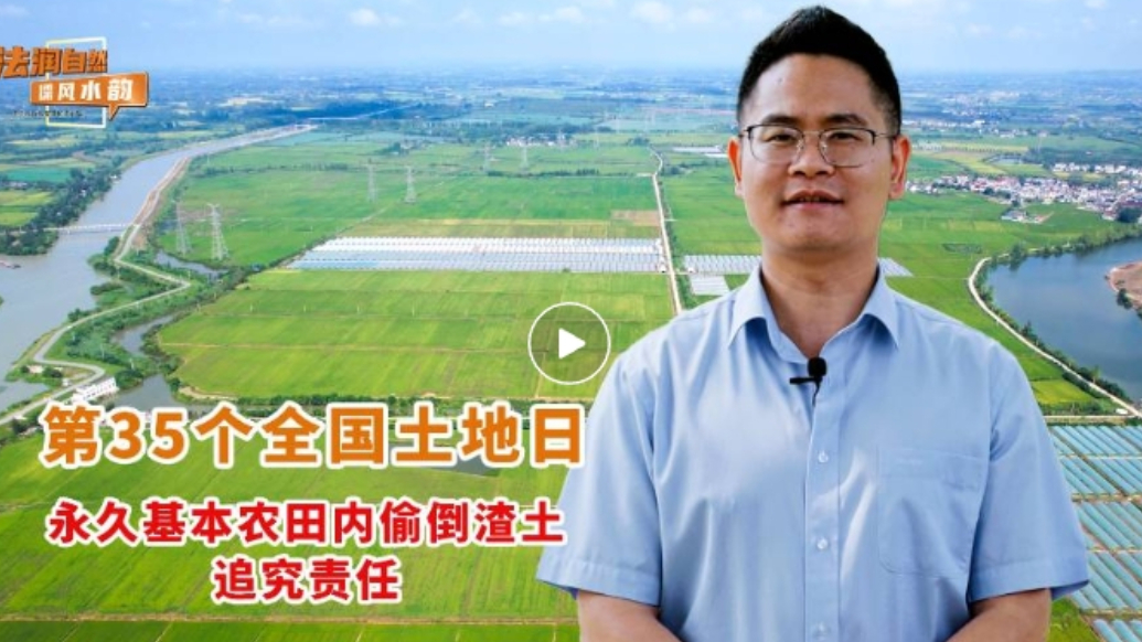 果然视频|第35个全国土地日-永久基本农田内偷倒渣土追究责任