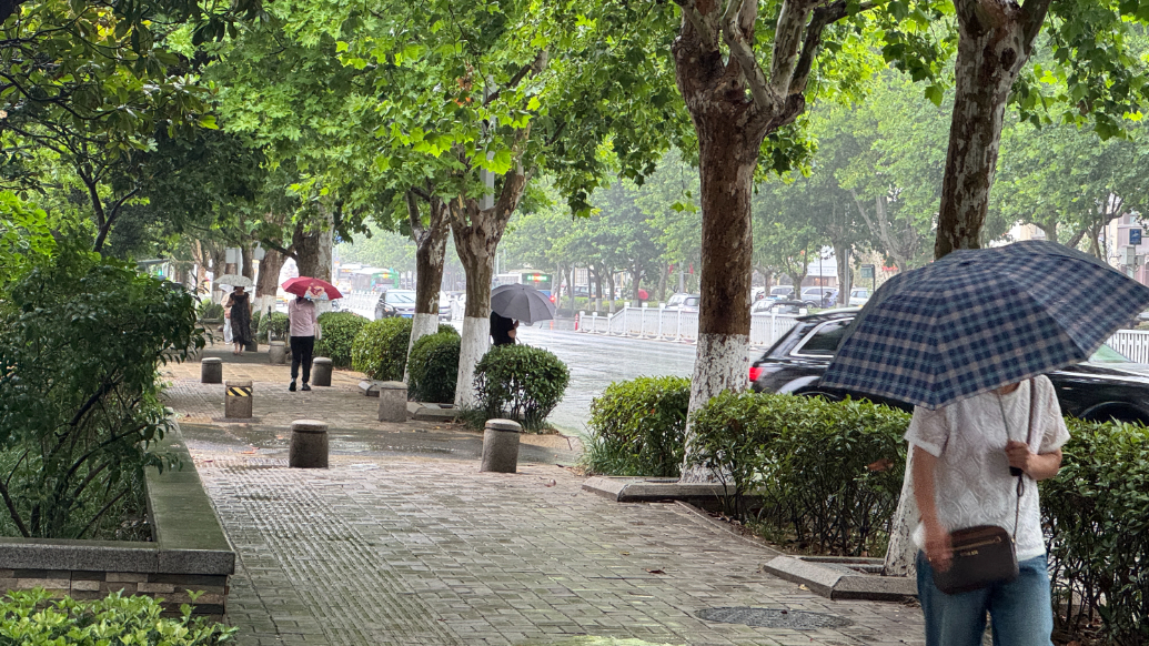 果然视频丨下班早回家！青岛将迎中到大雨局部暴雨