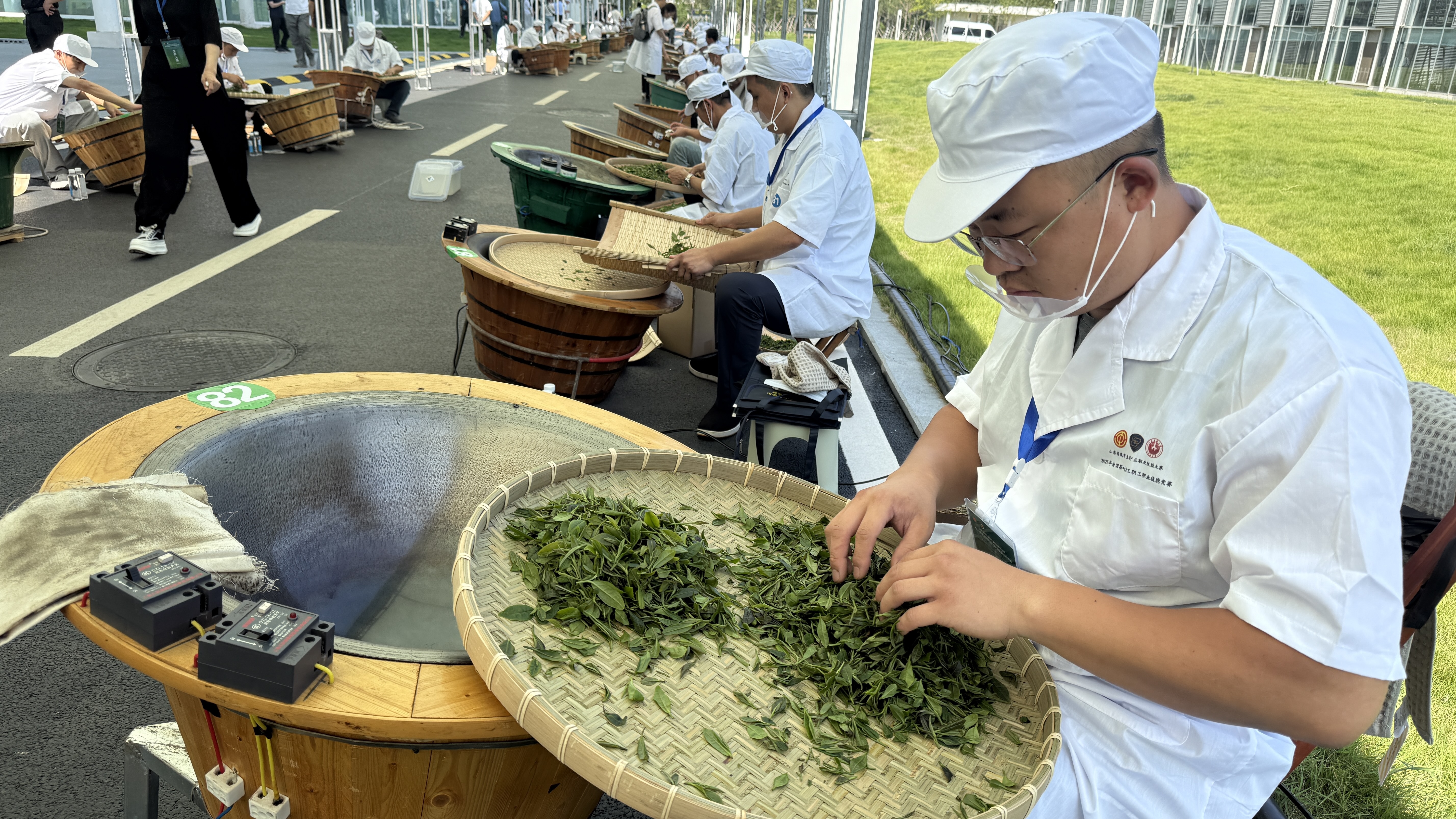 在北纬35°的日照茶乡，如何让茶农端稳“产业工人”饭碗