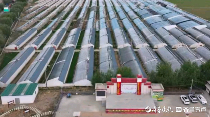 鲁藏情·珠峰行｜人均年收入增长13倍！济南援藏把蔬果种上高原