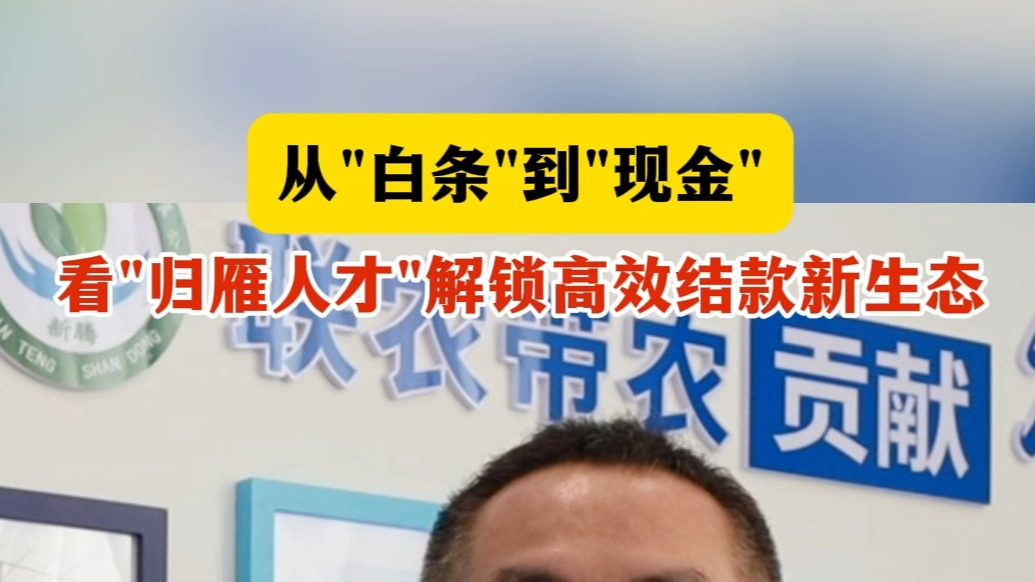 果然视频丨从"白条"到"观金"，看"归雁人才"解锁结款新生态