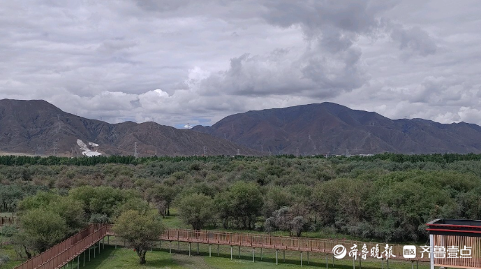 鲁藏情·珠峰行｜来自高原的邀约，江萨国家湿地喊山东朋友来做客