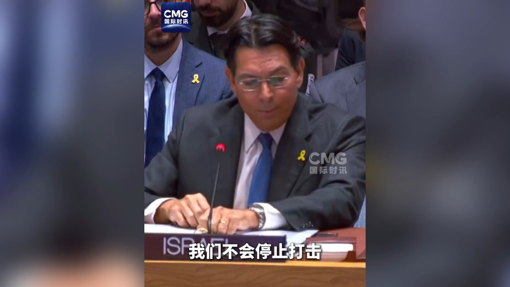 果然视频·看天下|以伊代表在安理会会议上交锋