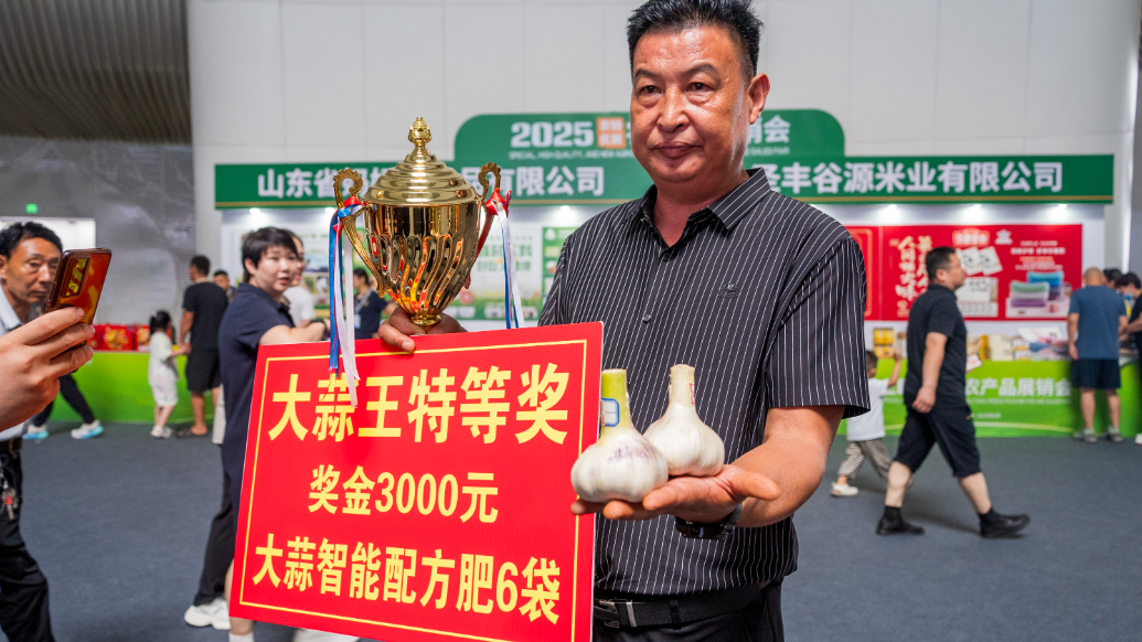 果然视频｜亩产6030斤！金乡 “大蒜高产王” 刷新纪录