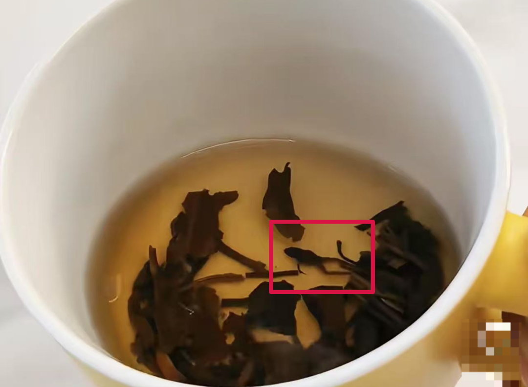 知名茶饮被曝喝出青蛙？当事人：太恶心了，差点喝进嘴里