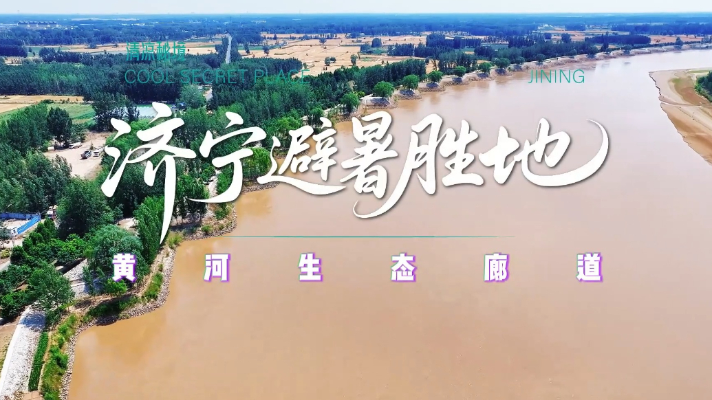 果然视频|济宁避暑圣地——黄河生态廊道