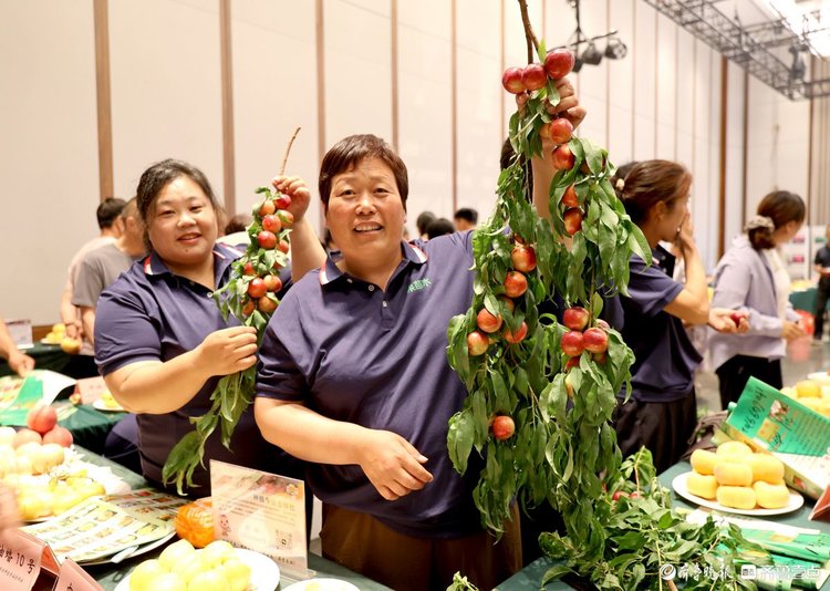红动中国,桃醉天下