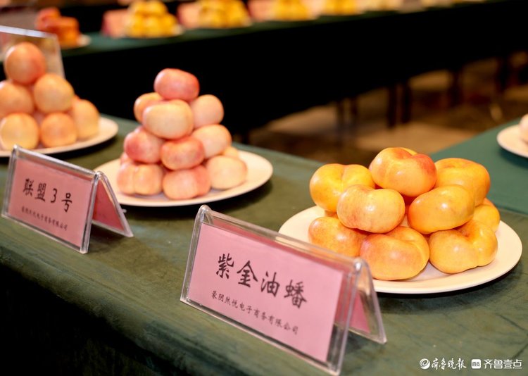 红动中国,桃醉天下