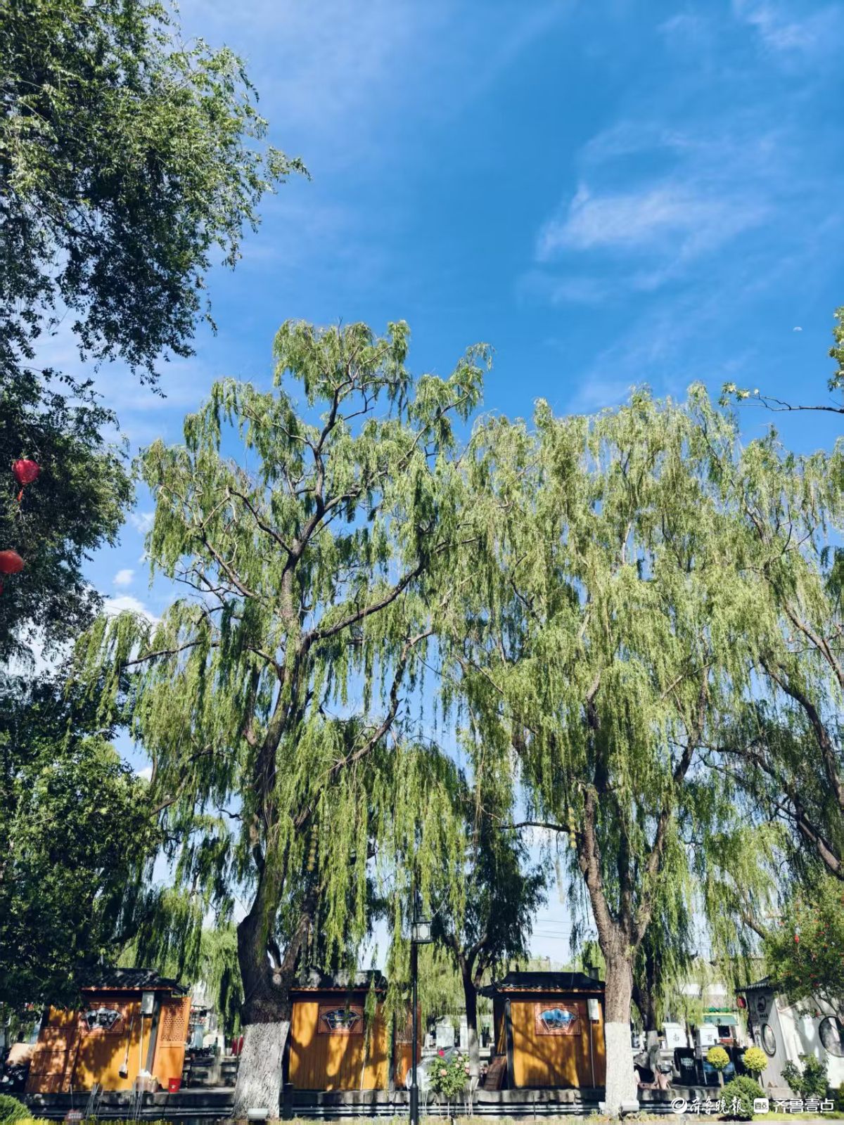 盛夏时节，来济南曲水亭街逛一逛