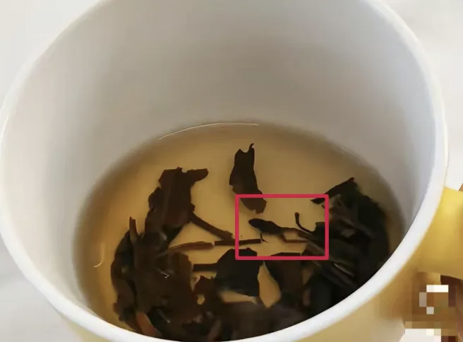 奈雪的茶被曝冲泡出青蛙尸体，市场监督管理局介入调查