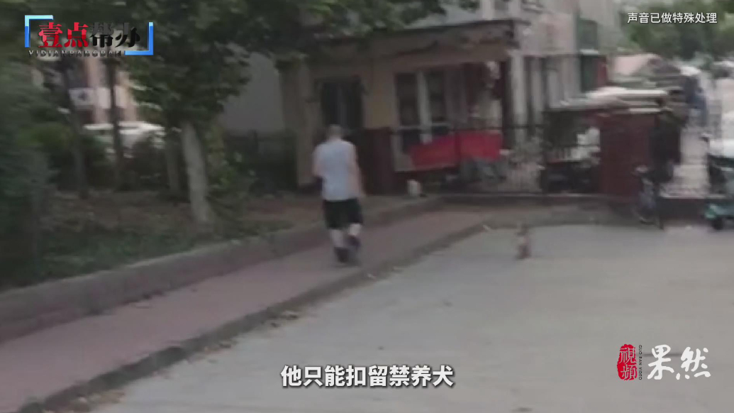 壹点帮办|聊城一小区业主遛狗不牵绳，被警告罚款仍不改，咋解？