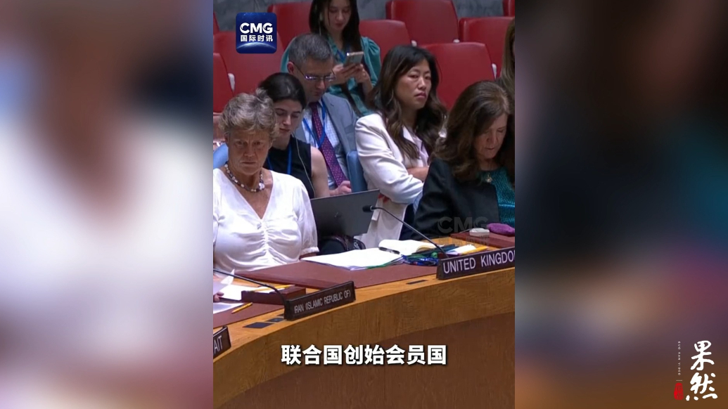 果然视频·看天下|美伊代表在联合国安理会交锋