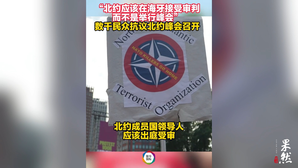 果然视频·看天下|海牙数千人集会反对北约峰会召开