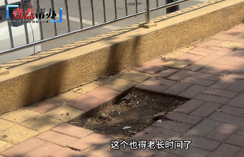 6月23日最佳情报|健身广场地砖破损塌陷存隐患，壹粉报料获奖