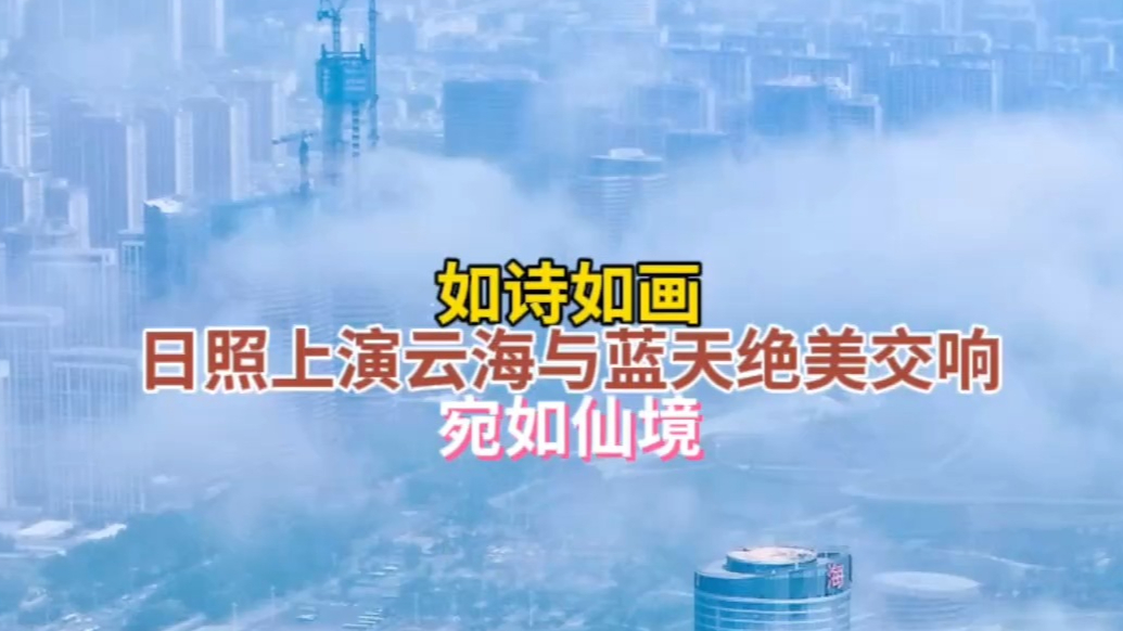 果然视频·好景山东|日照云海与蓝天绝美交响，如诗如画宛如仙境