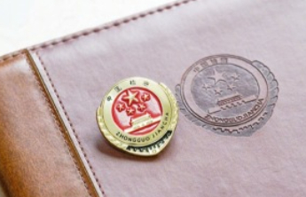 最高检检察侦查厅正式挂牌成立