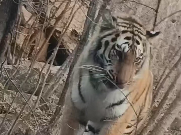 图片加载失败