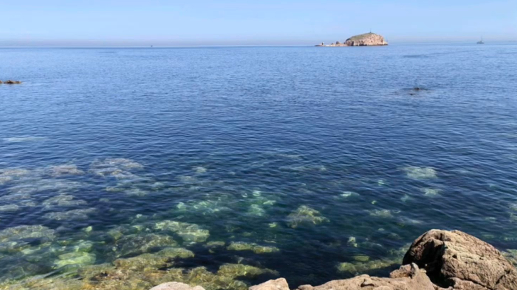 果然视频·好景山东|烟台养马岛夏日风情惹人醉，踏浪吹风超惬意