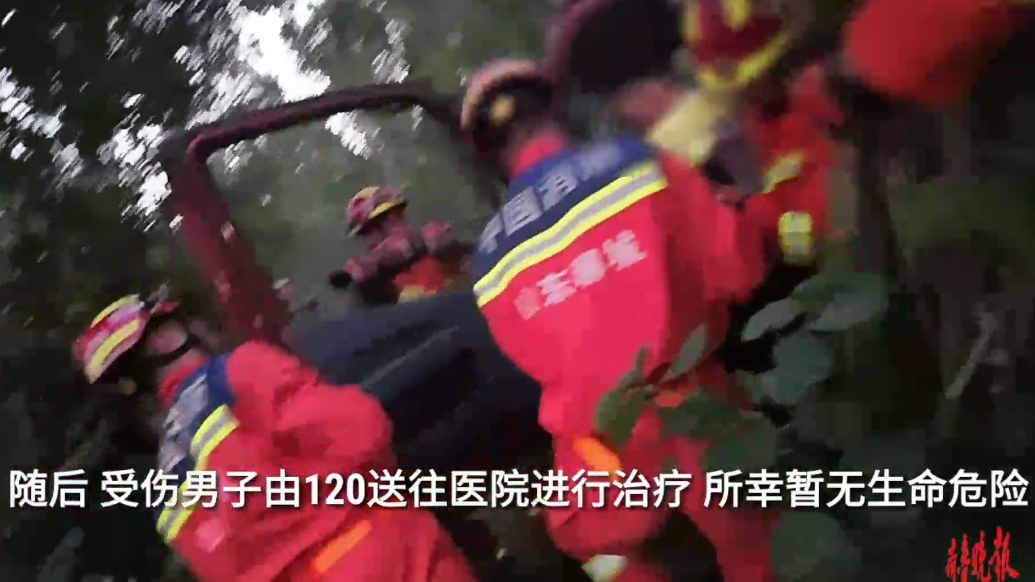果然视频|货车失控撞上路边树木，消防员破拆救出被困者