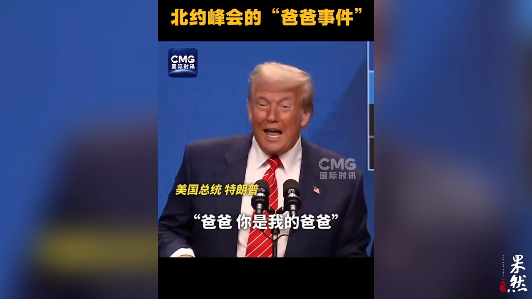 果然视频·看天下|管特朗普叫爸爸？北约秘书长：我不是那个意思